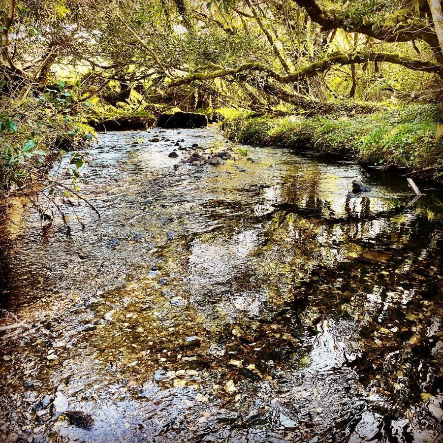 Stepping Stones Glamping Little Red Otel Bantry Dış mekan fotoğraf