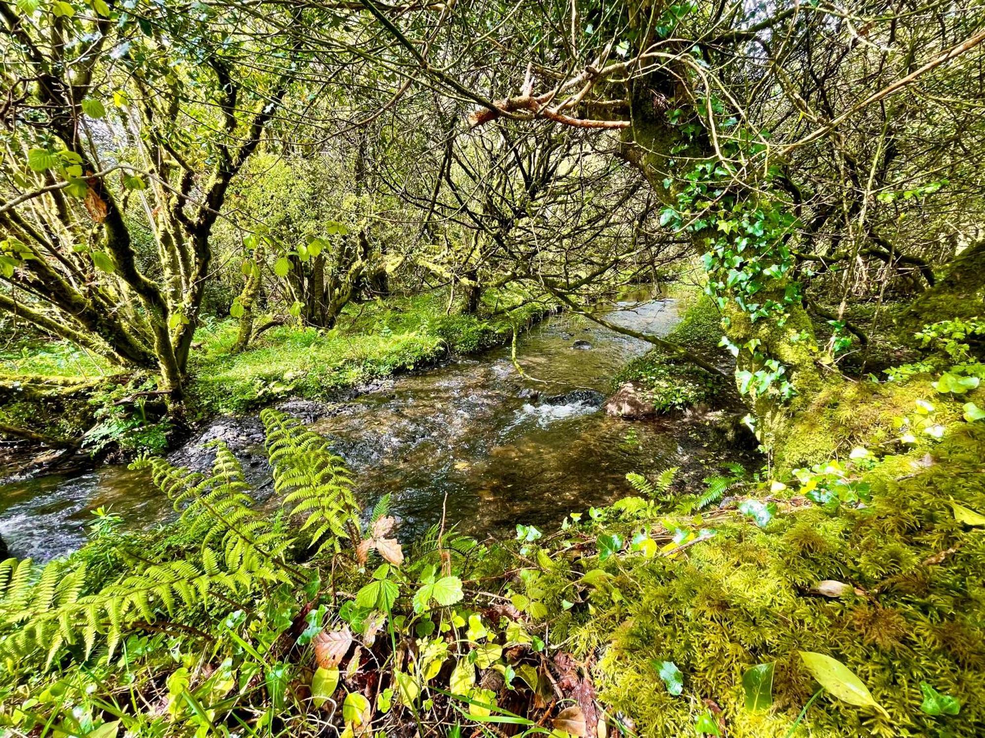 Stepping Stones Glamping Little Red Otel Bantry Dış mekan fotoğraf