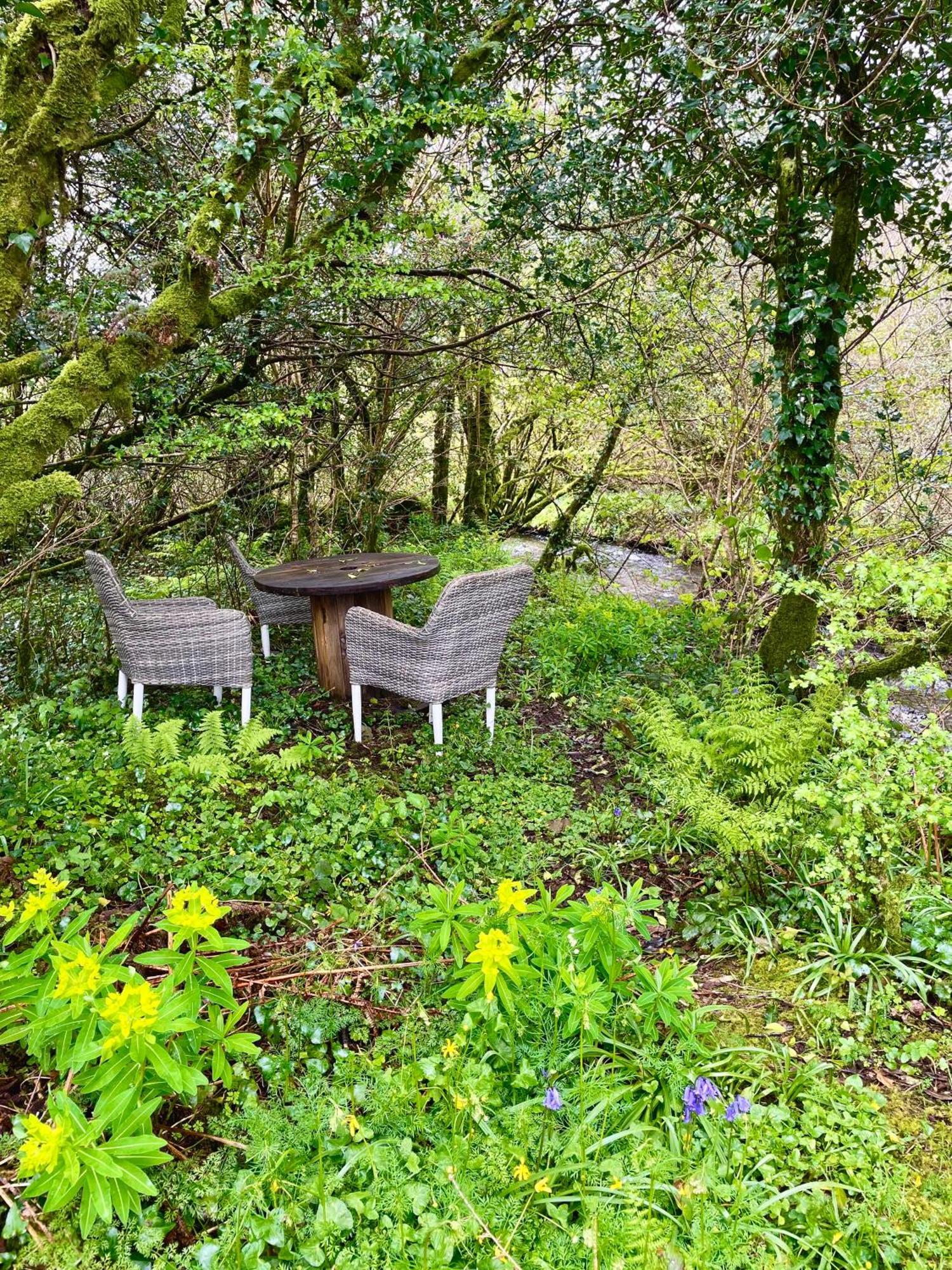 Stepping Stones Glamping Little Red Otel Bantry Dış mekan fotoğraf